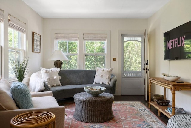 living room with hardwood / wood-style floors