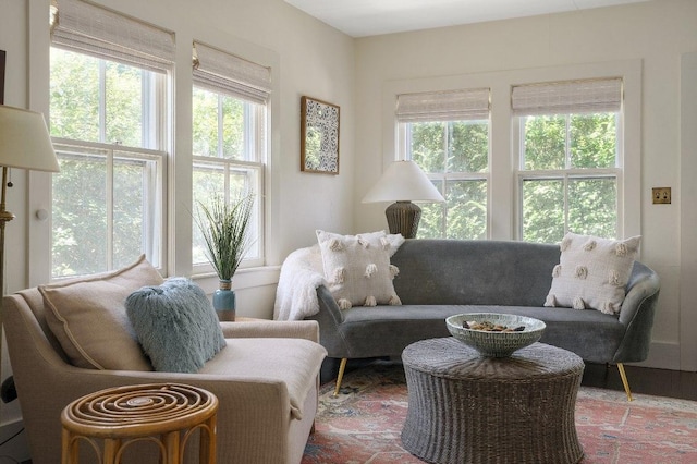 living room with a healthy amount of sunlight