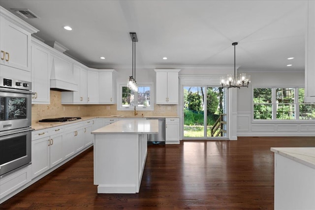 kitchen with dark wood-type flooring, stainless steel appliances, a healthy amount of sunlight, and custom exhaust hood