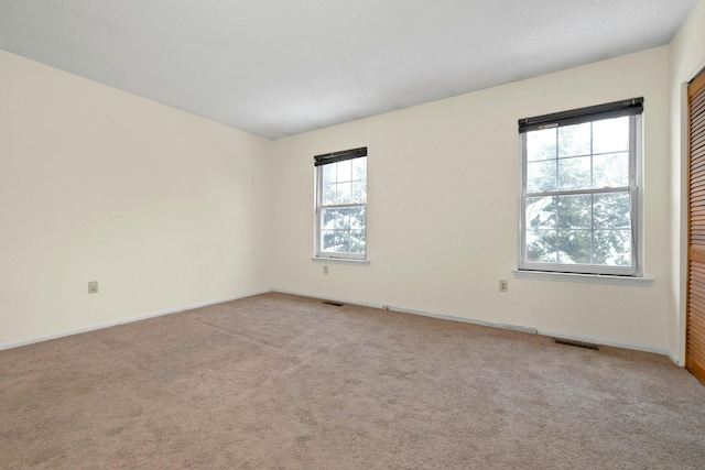 empty room featuring light colored carpet and a wealth of natural light