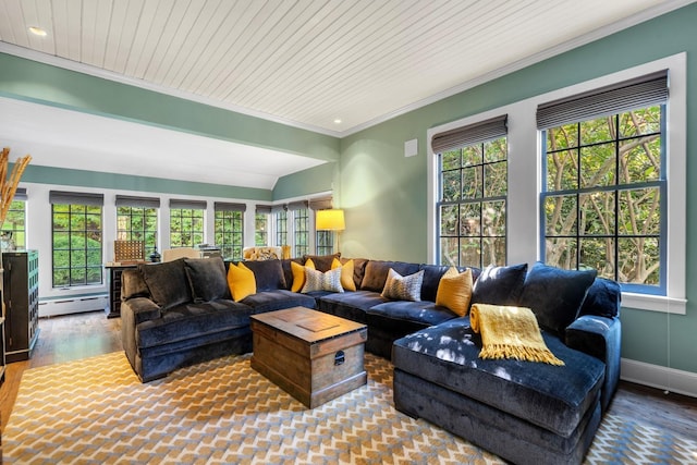 living room featuring a baseboard heating unit, ornamental molding, a healthy amount of sunlight, and hardwood / wood-style floors