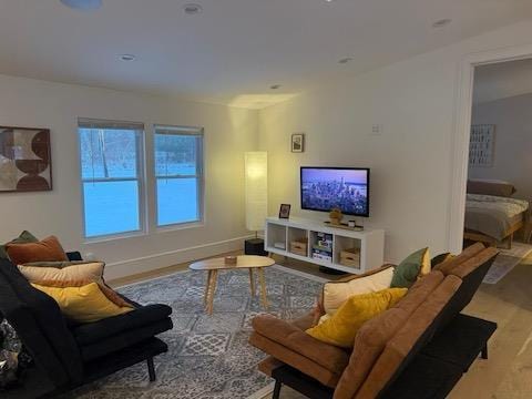 living room featuring hardwood / wood-style floors