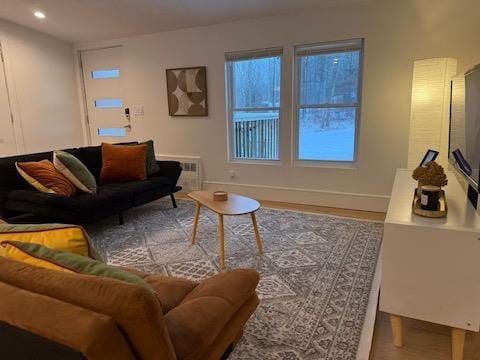 living room featuring hardwood / wood-style flooring