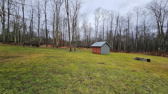 view of yard with a storage shed