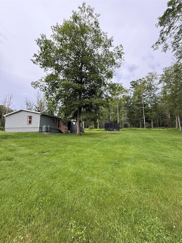 61 Old Cochecton Rd, Narrowsburg, NY 12764 - photo 13