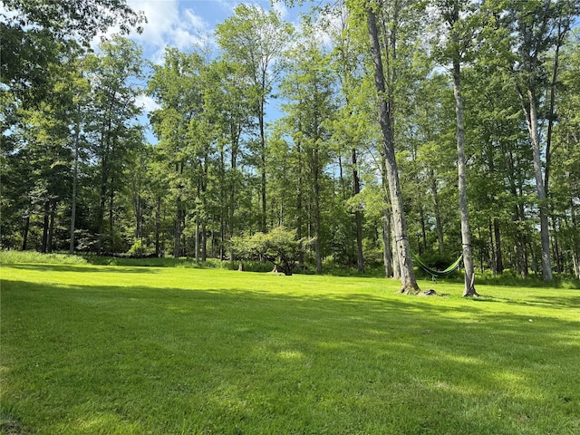 61 Old Cochecton Rd, Narrowsburg, NY 12764 - photo 14