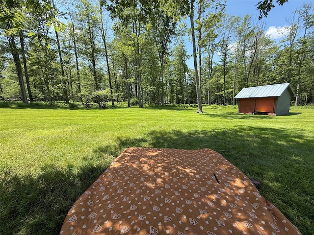 61 Old Cochecton Rd, Narrowsburg, NY 12764 - photo 15