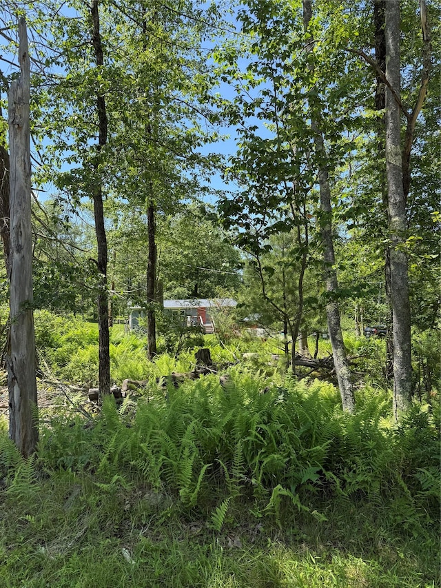 61 Old Cochecton Rd, Narrowsburg, NY 12764 - photo 17