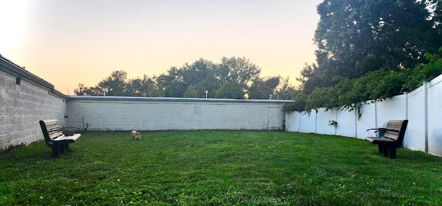 view of yard at dusk