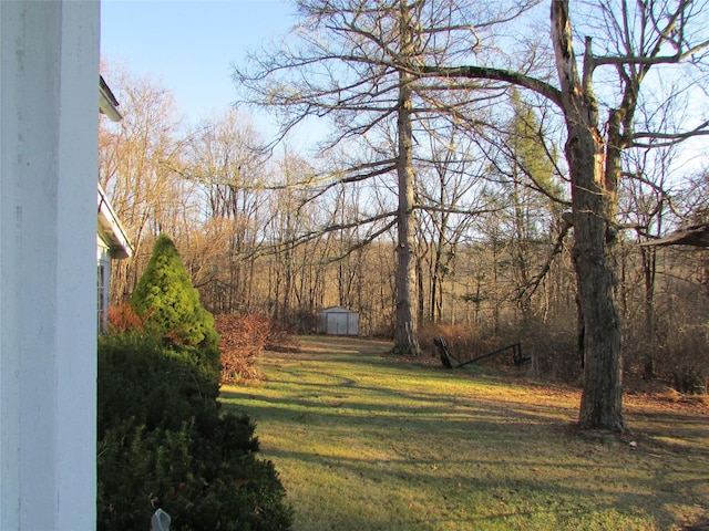 view of yard featuring a storage unit