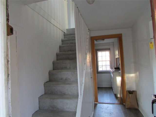 staircase featuring hardwood / wood-style floors