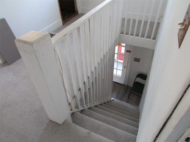 stairway featuring carpet