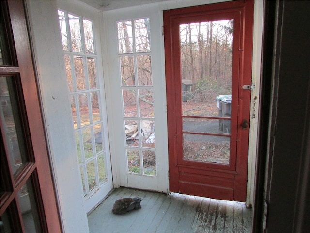 entryway featuring a wealth of natural light