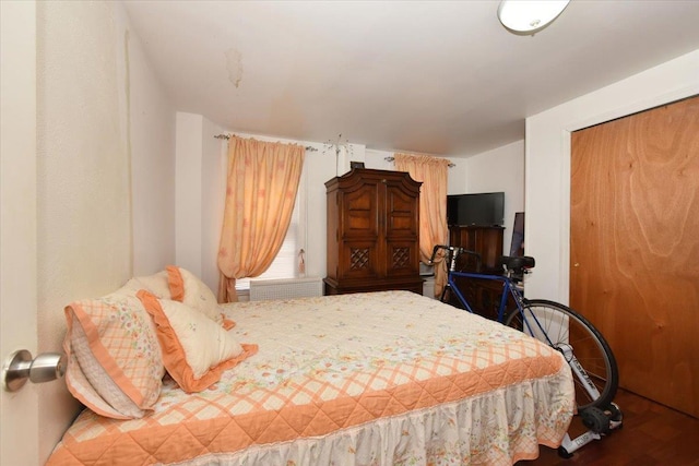 bedroom featuring a closet and wood-type flooring