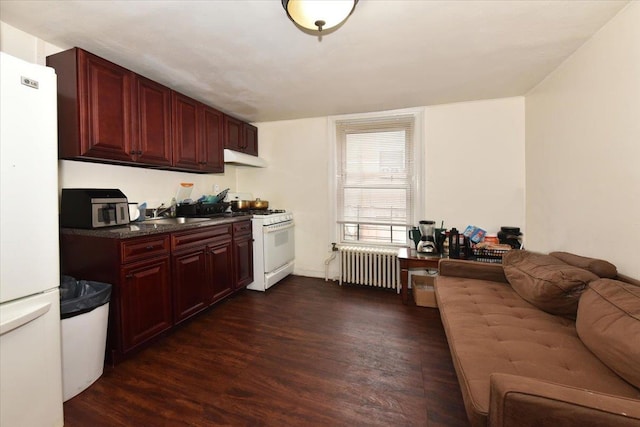 kitchen with dark hardwood / wood-style flooring, white appliances, sink, and radiator