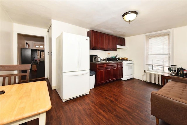 kitchen with radiator heating unit, white appliances, dark hardwood / wood-style flooring, and sink