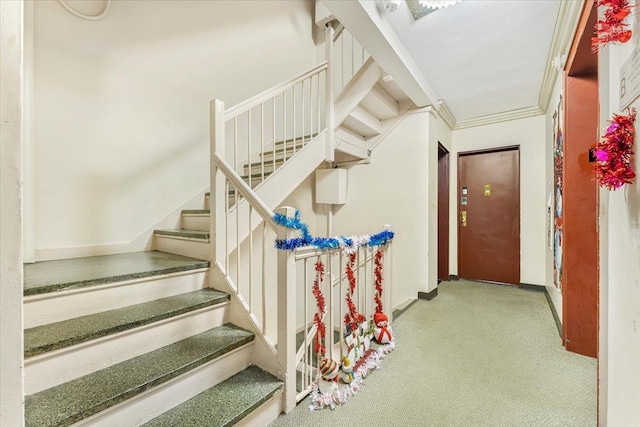 staircase with crown molding and carpet