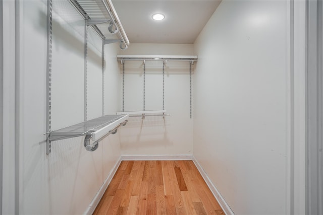 spacious closet featuring light hardwood / wood-style floors