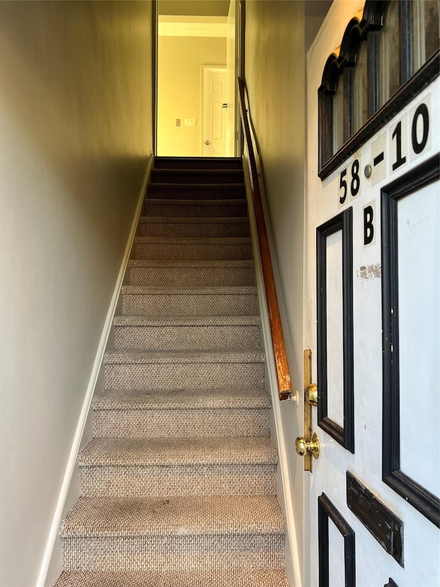 stairway featuring carpet flooring