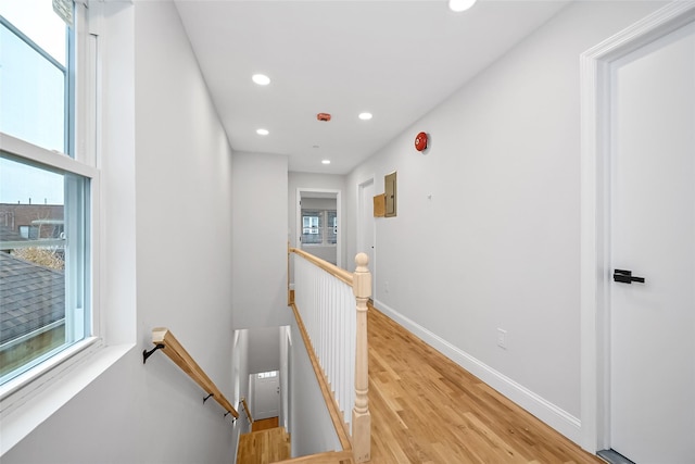 corridor featuring a wealth of natural light and light hardwood / wood-style floors