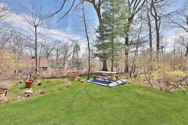 view of yard featuring a patio