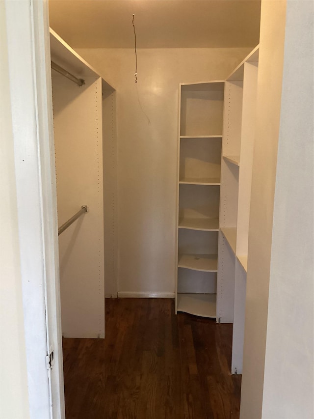 spacious closet featuring dark hardwood / wood-style flooring