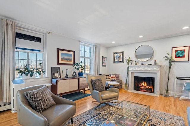 living room with a premium fireplace and wood-type flooring