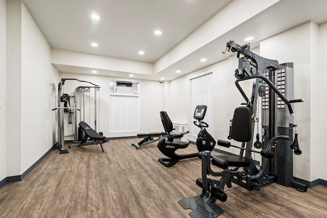 workout room featuring hardwood / wood-style flooring