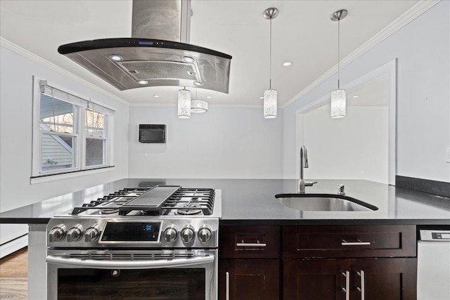 kitchen featuring dark brown cabinetry, stainless steel appliances, ornamental molding, and sink