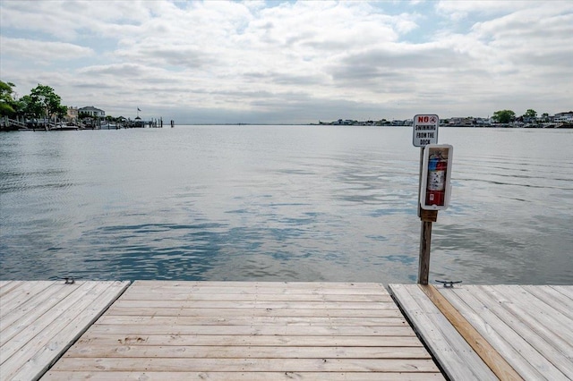 dock area with a water view