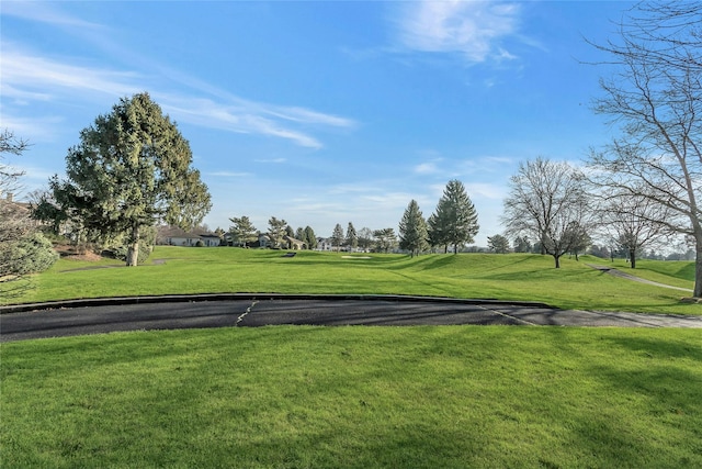 view of home's community featuring a yard