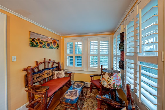 living area featuring crown molding and a baseboard heating unit