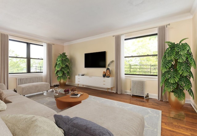 living room featuring dark hardwood / wood-style flooring, crown molding, and radiator heating unit