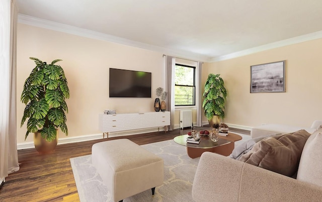 living room with crown molding, dark wood-type flooring, and radiator