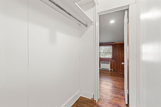 walk in closet featuring wood finished floors and radiator