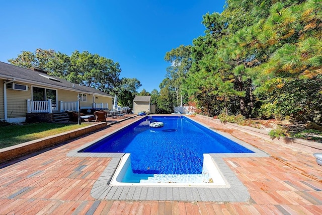 view of swimming pool with a storage shed and a patio area