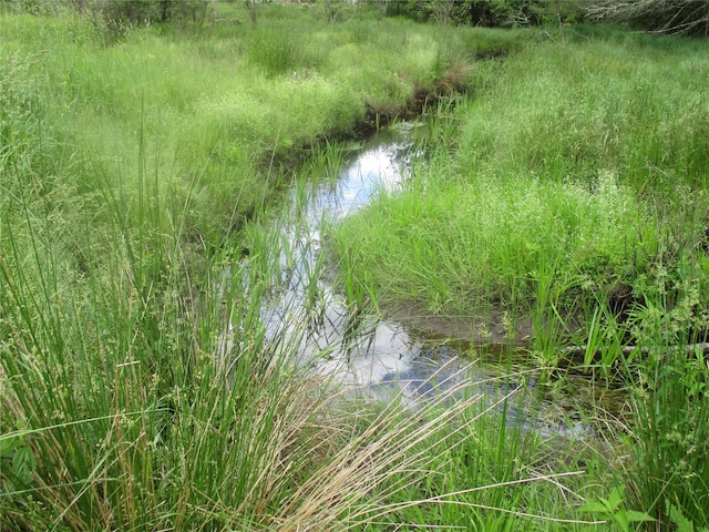 view of landscape featuring a water view