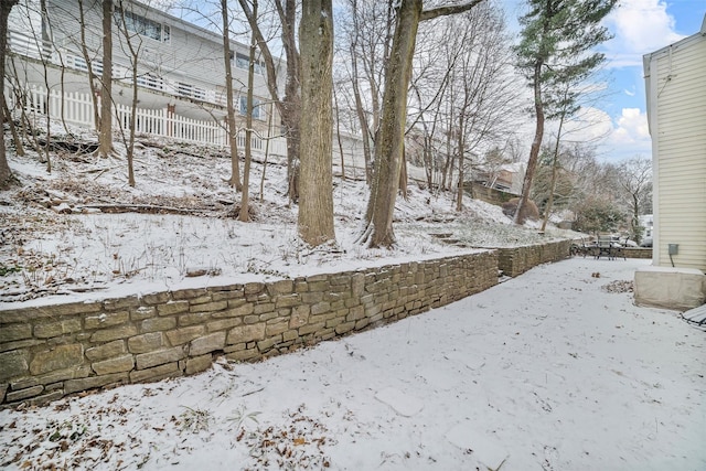 view of snowy yard