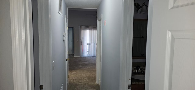 hall featuring carpet, a textured ceiling, and sink