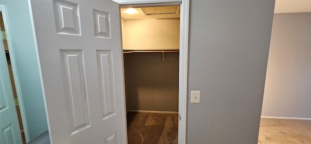 view of closet