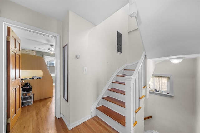 staircase with wood-type flooring and ceiling fan