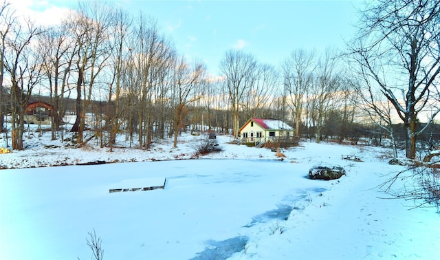 view of yard covered in snow