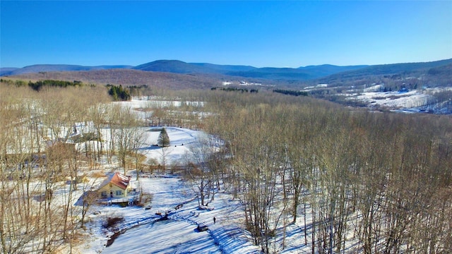 property view of mountains