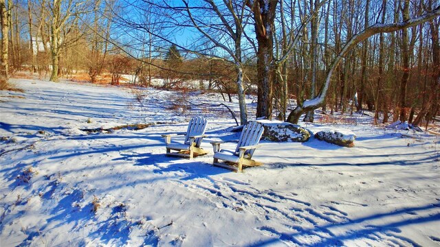 view of snowy yard