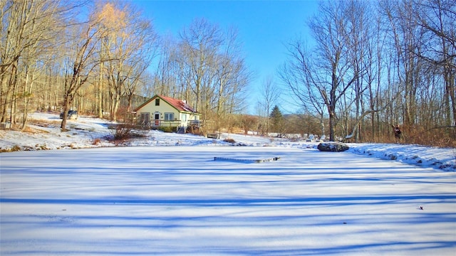 view of yard covered in snow