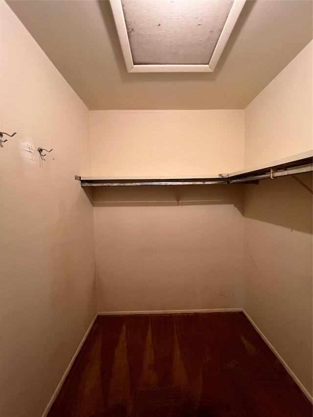 view of walk in closet