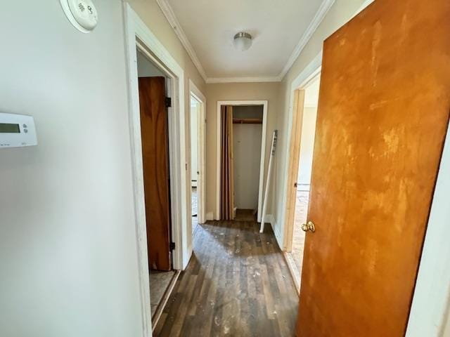 hall featuring crown molding and dark wood-type flooring