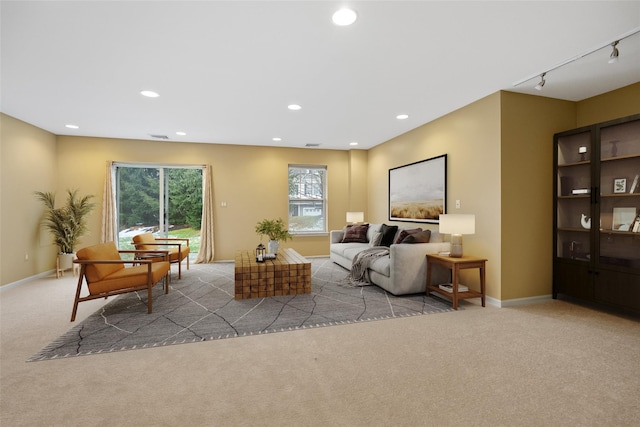 carpeted living room featuring rail lighting