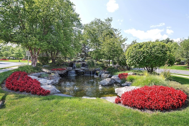 view of property's community with a lawn