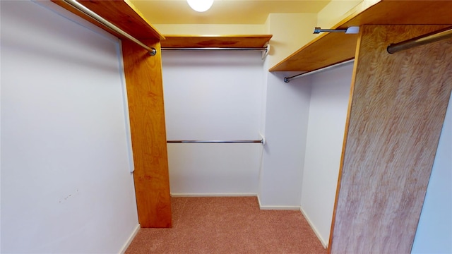 spacious closet featuring light colored carpet